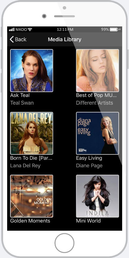 List of music albums in iphone